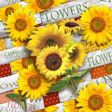 PAPSTAR 20 Servietten, 33 cm x 33 cm 3-lagig 1/4-Falz Design Set 1