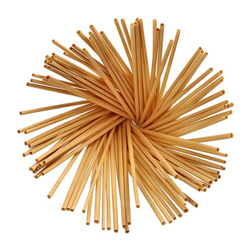 PAPSTAR Trinkhalme "pure" Ø 4 mm, 20 cm, umweltfreundlich und stabil | Faltschachtel (100 Stück)