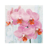 PAPSTAR 20 Servietten, 33 cm x 33 cm 3-lagig 1/4-Falz Design Set 2