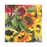 PAPSTAR 20 Servietten, 33 cm x 33 cm 3-lagig 1/4-Falz Design Set 1