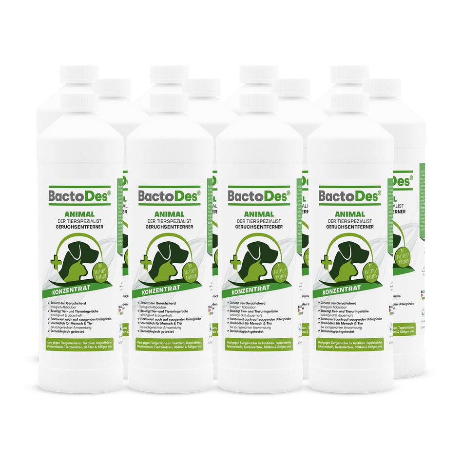 BactoDes® Animal – Geruchsentferner gegen Katzen- und Hundeurin